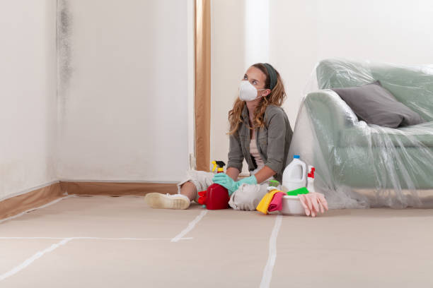 Reliable Mold Removal contractor in Black Creek, NC by WQB Mold Removal